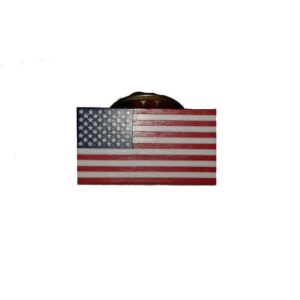 USA Flag Lapel Pin