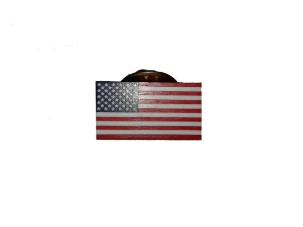 USA Flag Lapel Pin